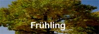 Frühling